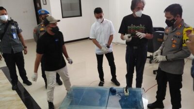 Pencurian Terbesar! Pria Ini Sikat 400 Ekor Arwana Super Red Senilai Rp.24 Miliar Dari Kolam Bosnya di Bogor