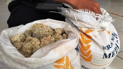 Berwarna Coklat dan Membatu, Bantuan Beras PPKM 2021 Yang Diterima Warga Pandeglang Tak Layak Makan