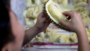 China Temukan Virus Corona Pada Paket Berisi Durian di Ganzhou, Bisa Menular?