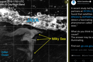 Heboh! Laut Selatan Jawa Bercahaya Di Malam Hari, Fenomena Apa?