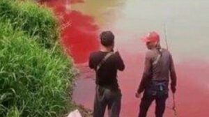 Viral! Air Sungai Cisadane Di Serpong Berubah Jadi Merah Darah, Ini Penjelasan Satpol PP Kota Tangsel