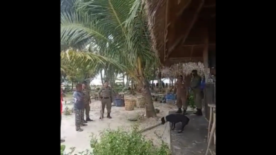 Anjing Hitam Yang Mati Saat Dievakuasi Ke Singkil Ternyata Sudah Sering Gigit Orang dan Ganggu Turis