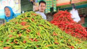 Harga Aneka Cabai, Bawang Hingga Minyak Goreng Di Pasar Tradisional Kompak Meroket