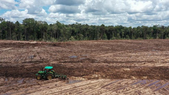 Greenpeace: Proyek 700 Hektare Food Estate Picu Banjir Di Kalteng