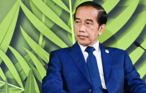 Jokowi: Lakukan Lompatan Katak Untuk Transformasi Ekonomi Indonesia