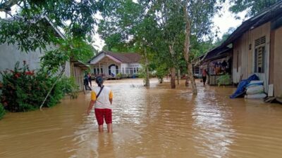 Pengamat: Masa Iya Calon Ibukota Baru Kebanjiran? Apa Kata Dunia?