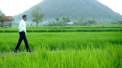 Harga Pupuk Melambung Tinggi, Rizal Ramli Sentil Jokowi: Bolak-Balik Ke Sawah Hanya Untuk Selfie