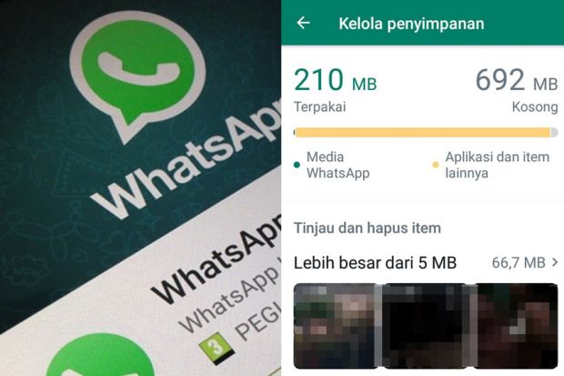Ini Cara Cepat Bersihkan Cache WhatsApp di Android Agar Ponsel Anti Lemot
