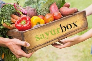 Transaksi Melonjak, StartUp TaniHub Hingga SayurBox Justru Impor Bahan Pangan