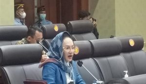 Bahas Anggaran Tapi Materi Rapat Tidak Detail, Dewi Asmara Sentil Menkes Budi Gunadi Sadikin