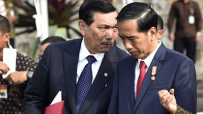 Beathor Suryadi: Apakah Jokowi Punya Nyali Copot Menko Luhut?