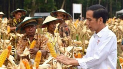 Jokowi Bingung RI Masih Impor Jagung dan Kedelai
