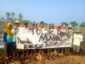 Anggaran Pemilu Rp.110,4 Triliun, Para Petani Pertanyakan Peran Negara Saat Harga Tomat Anjlok