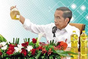 Jokowi Larang Ekspor Minyak Goreng, INDEF: Tangkap Tikus, Rumah Yang Dibakar