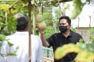 Erick Thohir Ungkap Modus Mafia Bibit: Bikin Gagal Panen, Rugikan Petani, Ganggu Stok Pangan Nasional