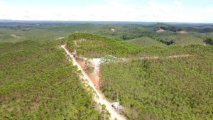 China Siap Sukseskan Proyek Pembangunan IKN Nusantara