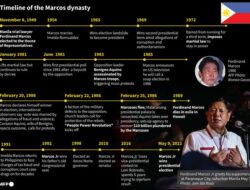 Fabrikasi Sejarah dan Manipulasi Medsos Bikin Ferdinand Marcos Jr Menang Pilpres Filipina