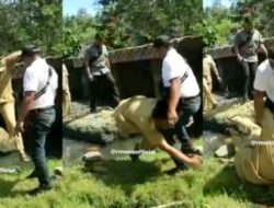 Viral! Video Gubenur NTB Zulkieflimansyah Terjatuh Jungkir Balik Saat Lompati Sungai