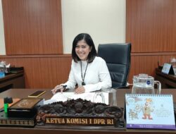 Mengenal Sosok Meutya Hafid, Anggota DPR RI Fraksi Golkar Asal Sumatera Utara