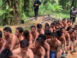 40 Petani Sawit di Mukomuko Bengkulu Ditangkap, Sederet Tokoh Nasional Siap Jadi Penjamin
