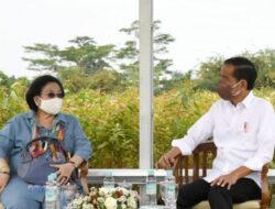 Ragu Hubungan Jokowi-Megawati Renggang, Pakar Politik UGM: Bisa Jadi Sedang Berbagi Peran