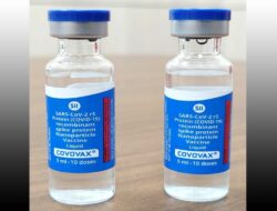 MUI Tetapkan Fatwa Vaksin COVID-19 Covovax Produksi India Haram
