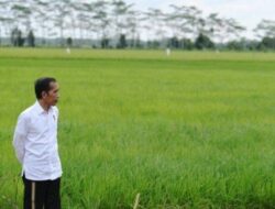 Bandingkan Harga Beras di AS, Jokowi: Kalau di Sini Rp.52 Ribu, Demo Nggak Rampung-Rampung