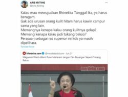 Kritik Guyonan Megawati, Arie Kriting: Memang Kenapa Kalau Tukang Bakso dan Kulitnya Hitam?