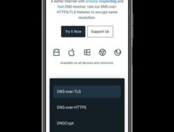Pengembang Indie Lokal Tawarkan Secure DNS Gratis untuk Koneksi Internet Aman