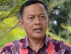 Halal Watch: Indonesia Jangan Latah Ikut-Ikutan Legalkan Ganja