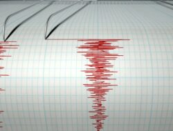 Duh! Sudah Terjadi 126 Gempa Di Selatan Jatim Dalam Sehari