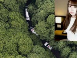 Bintang Film Porno Jepang Ini Ditemukan Tewas Tanpa Busana Terikat di Pohon