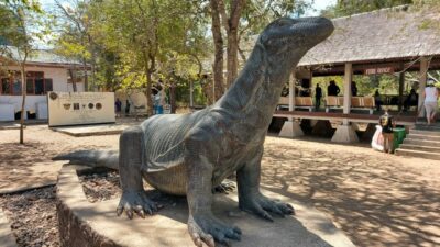 Buka-Bukaan! Tarif Taman Nasional Komodo Rp.3,75 Juta Per Orang, Untuk Apa Saja?