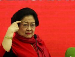 Usir Keluar Kader Tak Loyal, INSIS: Megawati Ogah Pelihara Brutus di Kandang Banteng