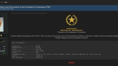 Bjorka Bobol dan Ungkap Dokumen Rahasia BIN dan Surat-Surat Untuk Jokowi di Internet