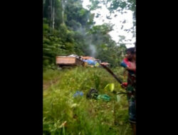 Sadis! Tentara OPM Bantai Para Pekerja Sipil Yang Bangun Jalan Trans Papua Barat