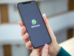 Ini Perbedaan WhatsApp Komunitas dan WhatsApp Group