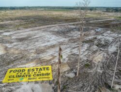Food Estate Merusak Hutan dan Berpotensi Rugikan Negara, Siapa Tangggung Jawab?