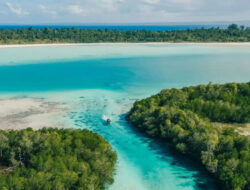 100 Pulau Eksotik Milik Indonesia Dilelang di New York, Ekosistem Laut Terancam