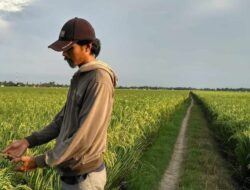 Ironi Negara Agraris, Harga Pangan di Indonesia Tertinggi se-ASEAN