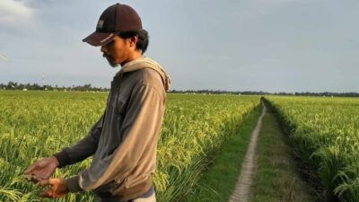 Ironi Negara Agraris, Harga Pangan di Indonesia Tertinggi se-ASEAN