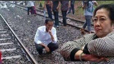 Disingkirkan PDIP, Jokowi Tak Sekedar Bebek Lumpuh, Tapi Sudah Jadi Sitting Duck