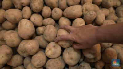 Indonesia Borong Kentang Jerman, AS Hingga Inggris, Impor Melonjak Gila-Gilaan
