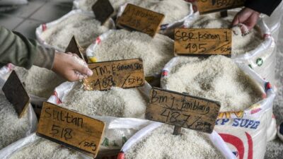 Beras RI Lebih Mahal Dari China, Thailand Hingga Vietnam, Ini Penyebabnya