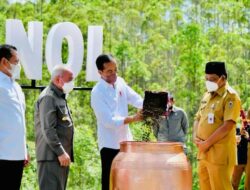 Jokowi Beri Karpet Merah Bagi Buruh Asing Kerja dan Tinggal di IKN Nusantara 10 Tahun