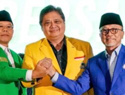 Muslim Arbi: Jika Tak Dukung Ganjar, Ketum PPP Bisa Dikocok Lagi