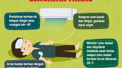 Bocah Malaysia Meninggal Kena Gelombang Panas, Organ Rusak Darah Mengering