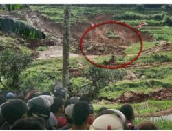3 Fenomena Mengerikan di Ponorogo: Sawah Runtuh Hingga Air Sungai Jadi Merah Darah