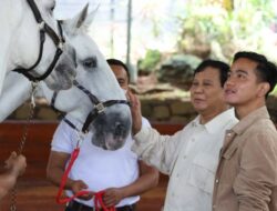 Ahmad Riza Patria Soal Peluang Duet: Prabowo-Gibran di Pilpres 2024: Gerindra Hormati Semua Usulan