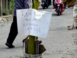 Kesal Tak Juga Diperbaiki, Warga Sidoarjo Tanam Pohon Pisang di Jalan Rusak